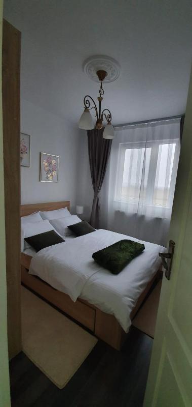 Apartament Thea Apartment Fagaras Exterior photo