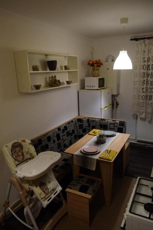 Apartament Thea Apartment Fagaras Exterior photo