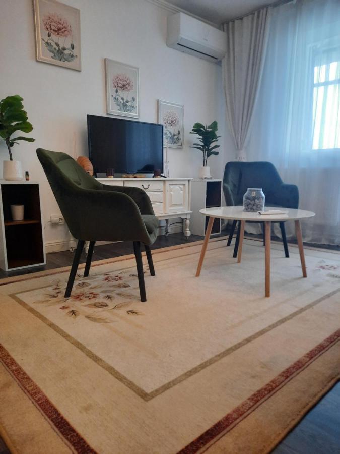 Apartament Thea Apartment Fagaras Exterior photo